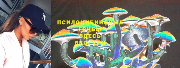 прущий лед Мегион