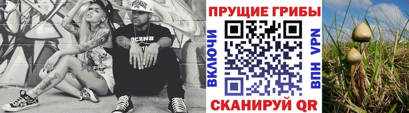 Галлюциногенные грибы Cubensis  наркота  Тында 