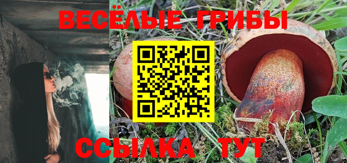 Галлюциногенные грибы Psilocybine cubensis  даркнет сайт  Псилоцибиновые грибы Psilocybine cubensis  Тында 