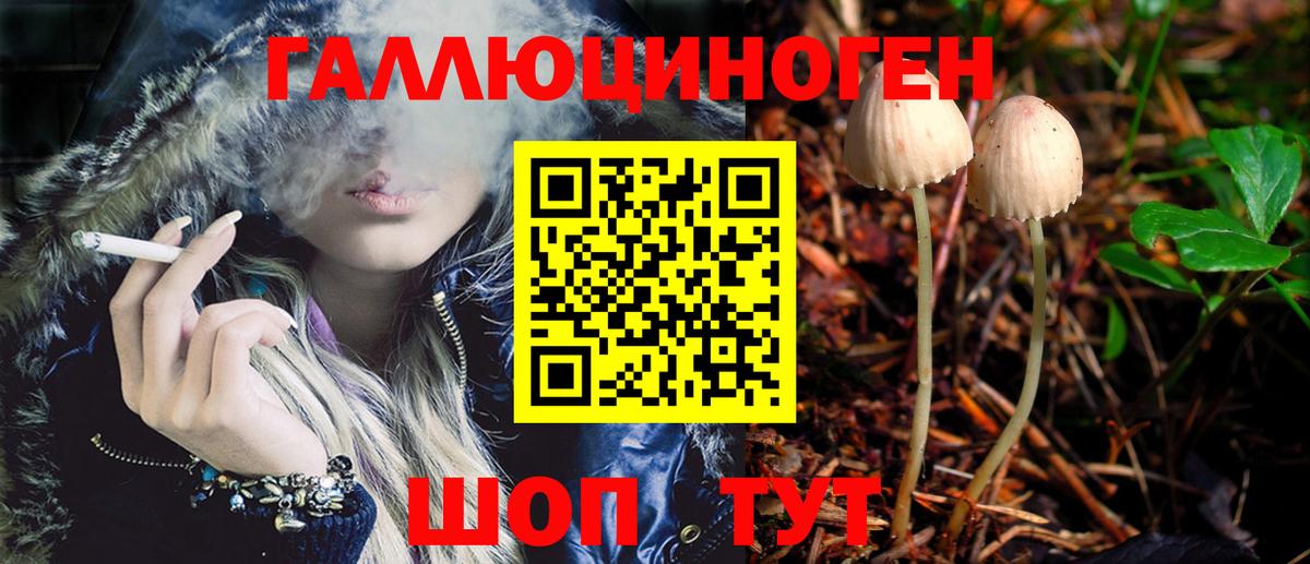 Тында  Псилоцибиновые грибы Psilocybine cubensis  Вход с VPN  Псилоцибиновые грибы ЛСД 